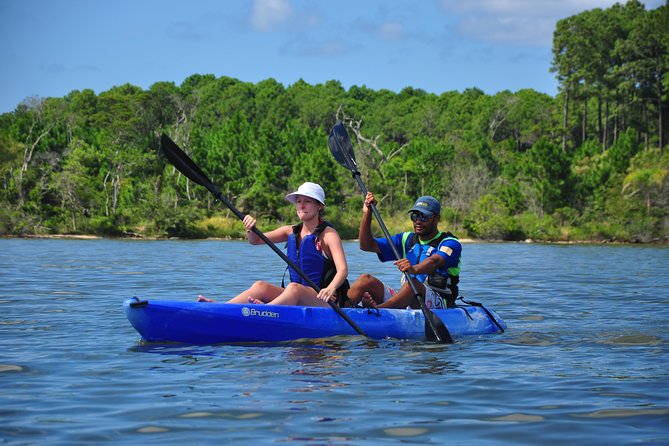 Kayak Water Trail in Red River Park by Adrenailha - The habitats you paddle through: Atlantic Forest, restinga, mangroves, and more