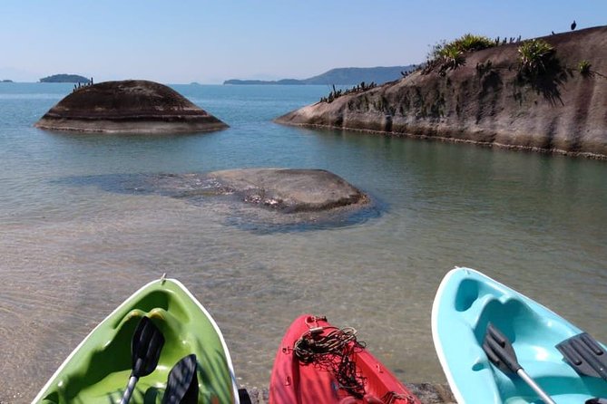 Kayaking Mangroves tour ( Natural Reserve ) - Kayaking Paraty’s mangroves: what this feels like on the water