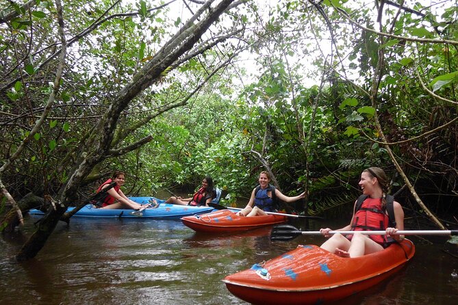 Kayaking Mangroves tour ( Natural Reserve ) - The 2-hour option built around capybaras in the mangroves
