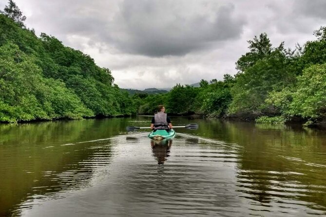 Kayaking to the mangroves - Key Highlights Worth Marking on Your Map