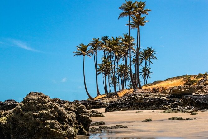 Lagoinha Beach Tour - Key points if you’re deciding fast