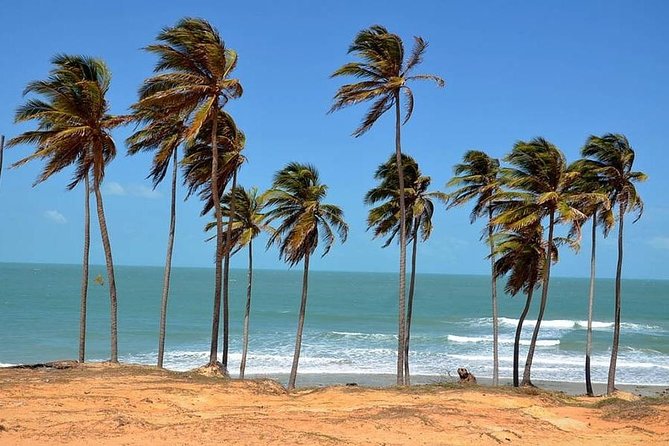Lagoinha Beach Tour - Hotel Pickup, Called Names, and an Easy First Step