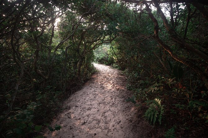 Lagoinha do Leste Hiking and Photography Tour in Florianopolis - Morro da Coroa: the ancient volcano viewpoint that earns the postcard label