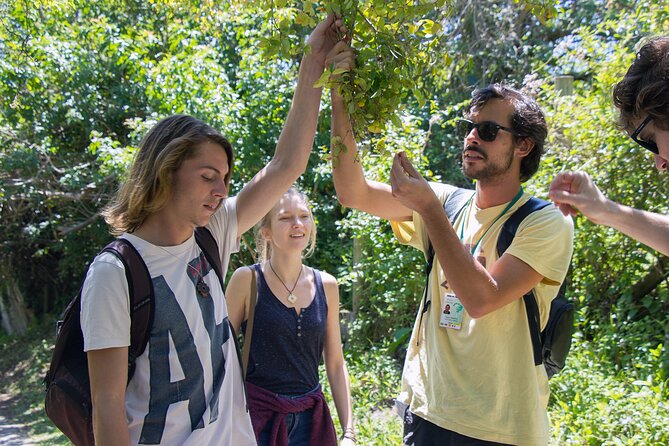 Lagoinha do Leste Hiking and Photography Tour in Florianopolis - Photography on this tour: included help that makes your images look like your day