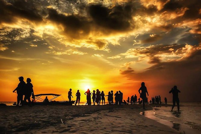 Live the best 10 attractions in Alter do Chão - Key points that make this Alter do Chão tour worth your day