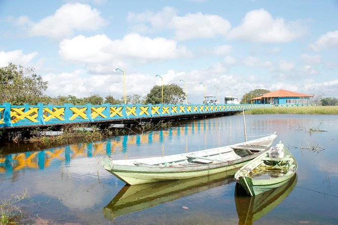 Live the best 10 attractions in Alter do Chão - Island of Love, Jacunda Lake, and Mureta Lake and Beach water time