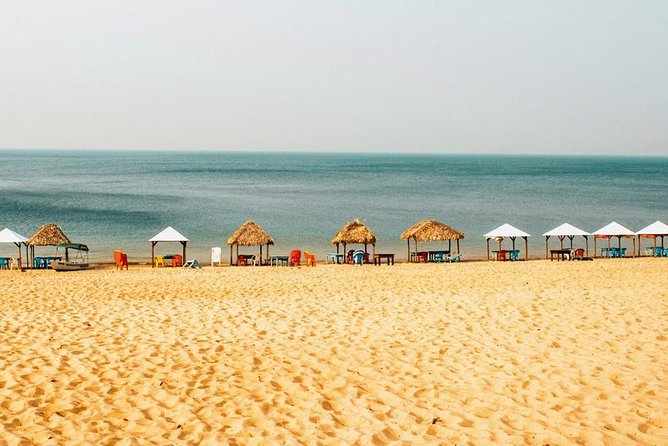 Live the best 10 attractions in Alter do Chão - Jurucuri Lake and Pindobal, plus the rubber-era lesson