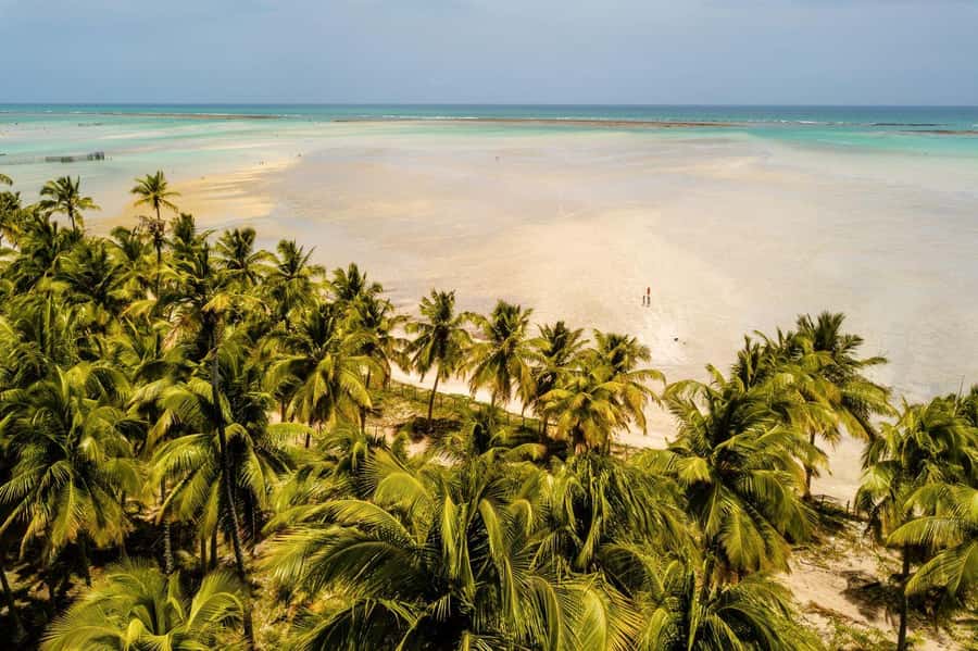 Maceio: Tour to Maragogi Beach - The 135 km Maceió to Maragogi drive, why timing matters