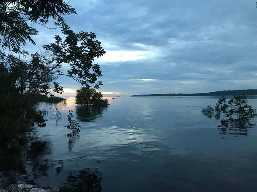 Manaus: 2-Day River Tour With Overnight Stay - How Pickup Works in Manaus, and Why It Matters