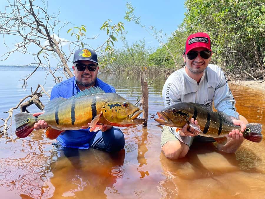Manaus : A day of fishing on the Rio Negro - Practical tips before you go