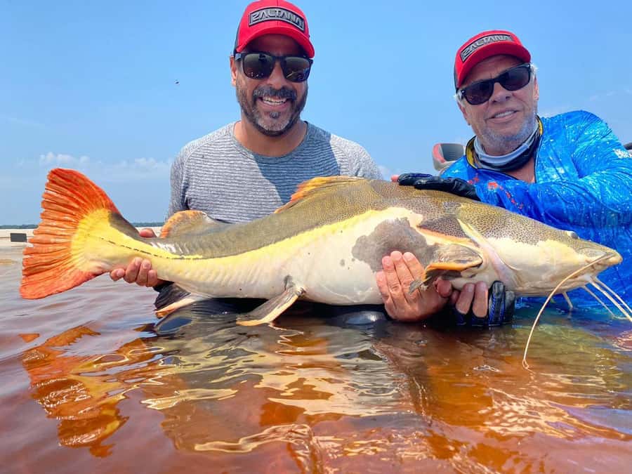 Manaus : A day of fishing on the Rio Negro - Fishing on the Rio Negro: simple gear, real guidance, and the species question