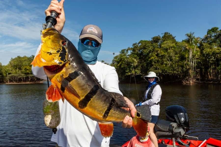 Manaus : A day of fishing on the Rio Negro - Afternoon fishing: staying out on the water without losing the plot