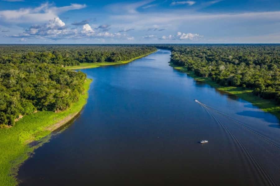 Manaus : A day of fishing on the Rio Negro - Guide quality makes or breaks the experience