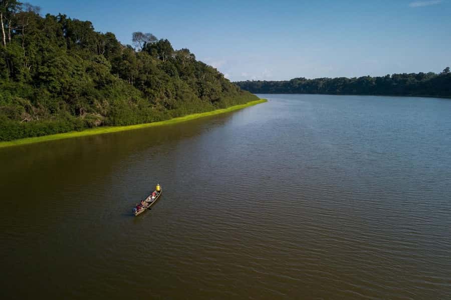 Manaus : A day of fishing on the Rio Negro - Who should book this Rio Negro fishing day