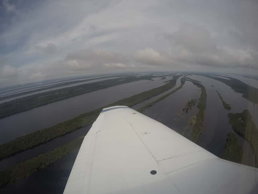 Manaus: Amazon Rainforest Panoramic Airplane Flight - The point of this flight: seeing the Amazon as a system