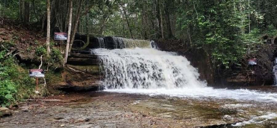 Manaus: Amazon Waterfalls Day Trip with Lunch - Urubuí Park Lunch: The Real Reset Between Water and Trails