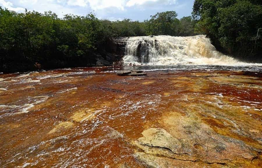 Manaus: Amazon Waterfalls Day Trip with Lunch - Getting Out of Manaus: Transport and Timing That Affect Your Mood