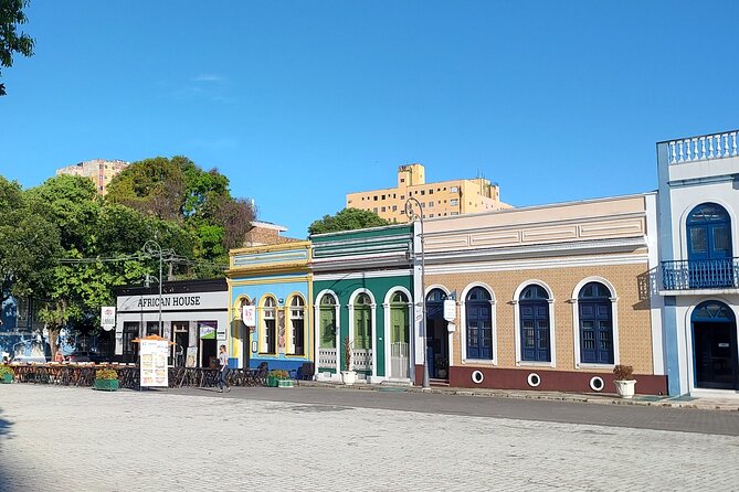 Manaus City Tour - The Highlighs of the Rubber Boom Time - Jefferson Péres and City Museums: A Quick Taste of What Changed