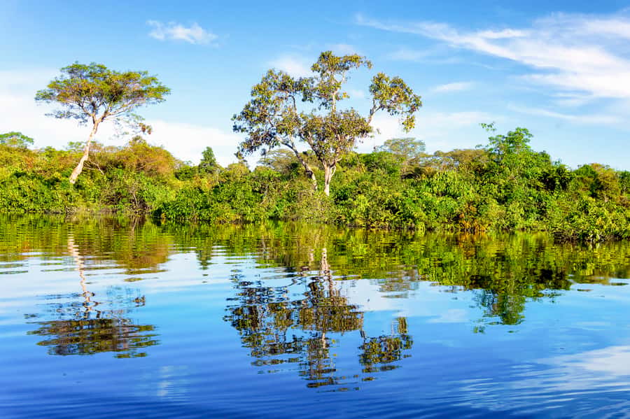 Manaus: Full-Day Tour on the Amazon River - Dessanos and Tucanos village visit, jungle pharmacy, and shaman