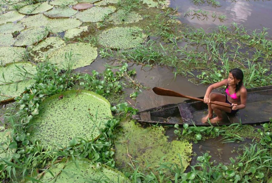 Manaus: Full-Day Tour on the Amazon River - FAQ