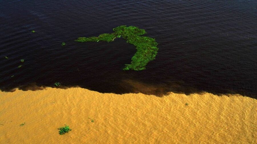 Manaus: Meeting of the Waters & Pink Dolphin Tour with Lunch - Price and value: what $75 buys you in the Amazon