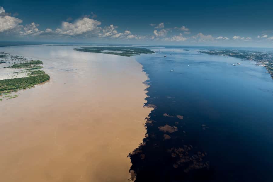 Manaus: Meeting of the Waters & Pink Dolphin Tour with Lunch - Hotel pickup and the first boat rhythm on the Black River