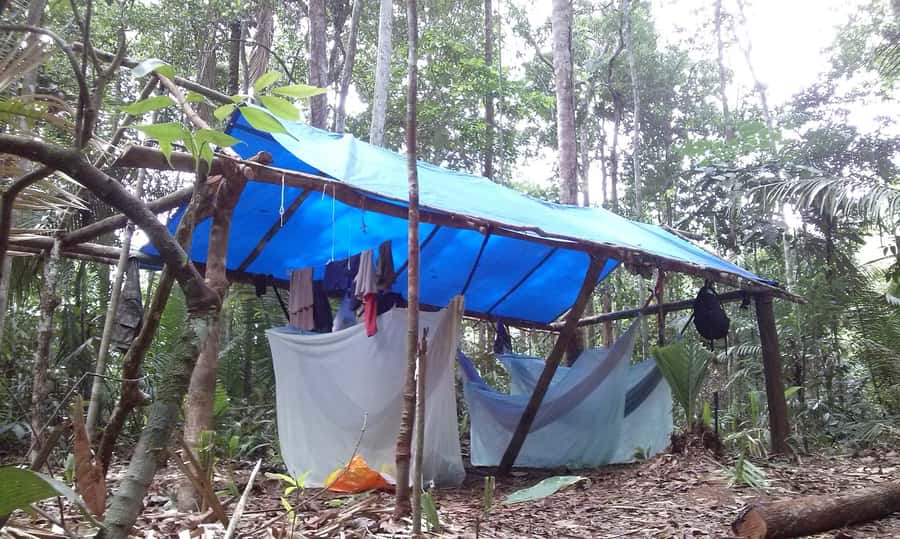 Manaus: Multi-Day Amazon Survival Trip with Camping - First, the reality check: what “survival” means here