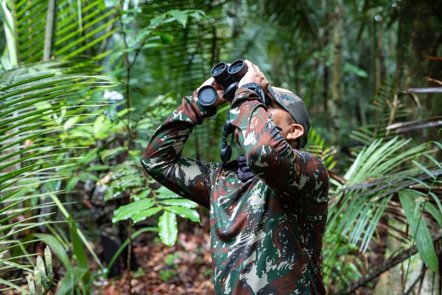 Manaus: Multi-Day Amazon Survival Trip with Camping - Night in the Amazon: hammocks, mosquito nets, and why the guide matters