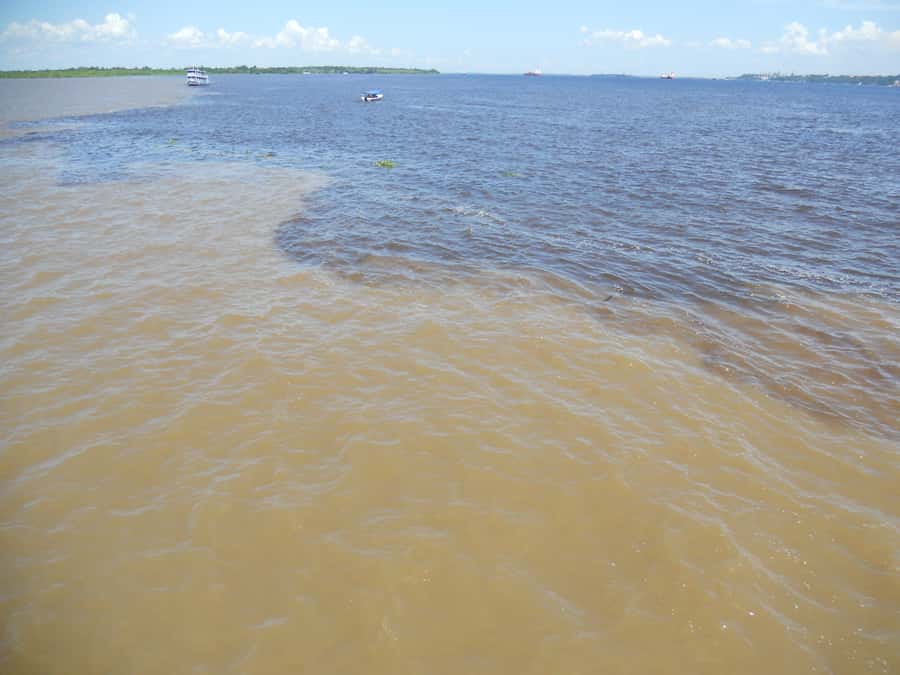 Manaus: Multi-Day Amazon Trip at Tapiri Floating Lodge - Why the Manaus meeting of the waters sets the tone fast