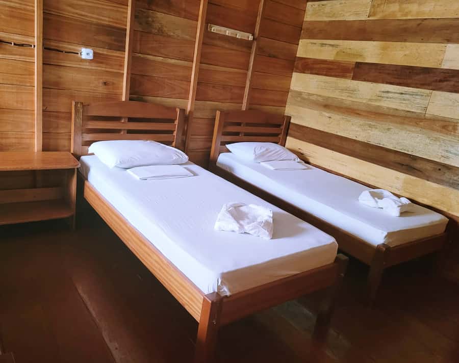 Manaus: Multi-Day Amazon Trip at Tapiri Floating Lodge - Day 2: 5:30 AM sunrise canoe and a jungle trek with medicinal plant talk