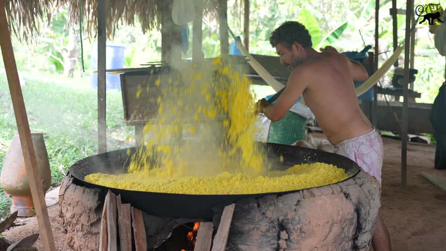 Manaus: Multi-Day Amazon Trip at Tapiri Floating Lodge - Day 5: Returning by late morning, lunch, and back to Manaus