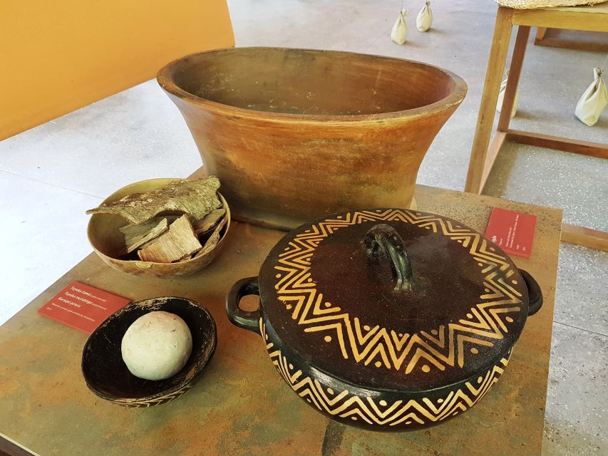 Manaus: MUSA and INPA Museums with Observation Tower Tour - Hotel pickup, timing, and the logistics that can make or break it