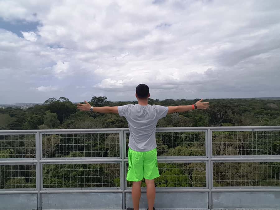 Manaus: MUSA and INPA Museums with Observation Tower Tour - Price and value: it looks like $50, but the day has a few add-ons