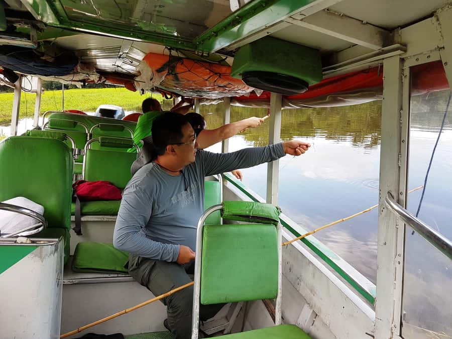 Manaus: Piranha Fishing and Alligator Watch Evening Tour - Key things to know before you go