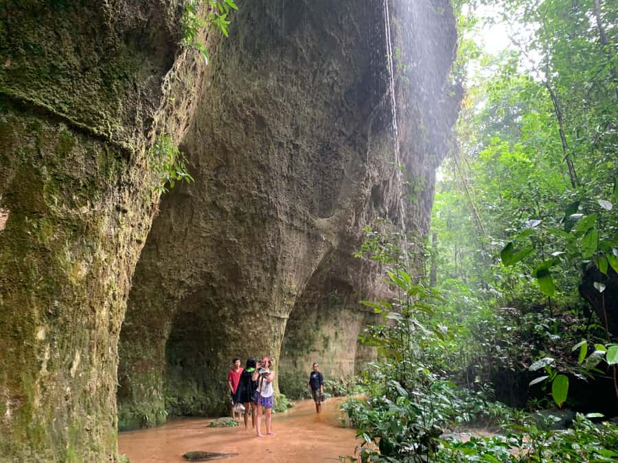 Manaus: Presidente Figueiredo Caves and Waterfalls Tour - Key highlights to look for