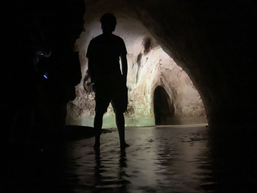 Manaus: Presidente Figueiredo Caves and Waterfalls Tour - Price and value: is $367 per group up to 4 worth it?