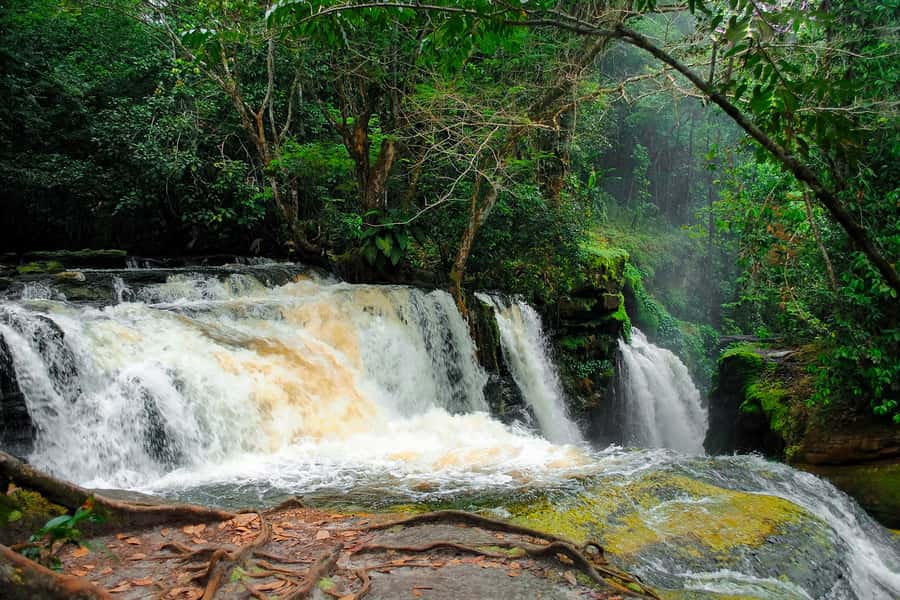 Manaus: Presidente Figueiredo Caves and Waterfalls Tour - Manaus to Presidente Figueiredo: Why the Setting Matters