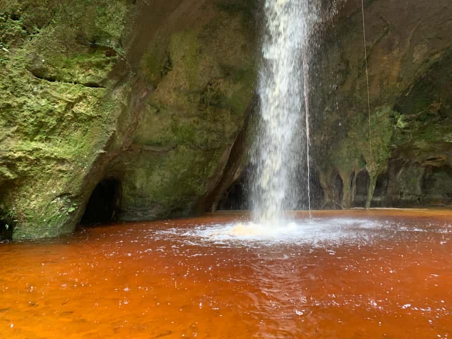 Manaus: Presidente Figueiredo Caves and Waterfalls Tour - Lunch by Urubuí rapids: fish, regional sides, and included drinks