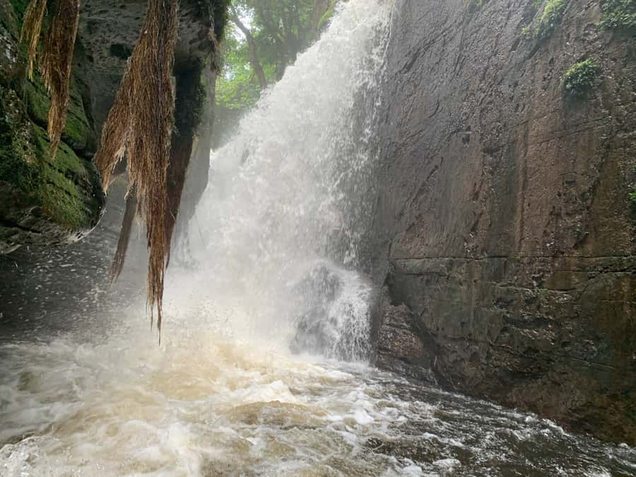 Manaus: Presidente Figueiredo Caves and Waterfalls Tour - Group size and the guide experience: calmer, faster answers