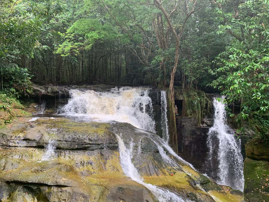 Manaus: Presidente Figueiredo Caves and Waterfalls Tour - The 8:00 AM pickup and the drive north (what your day feels like)