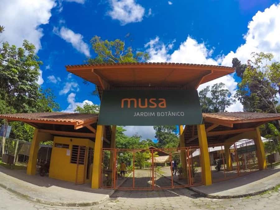 Manaus : Visit to MUSA (Amazon Museum) - Exhibitions: Amazon Environments, Habitats, and Traditional Flavors