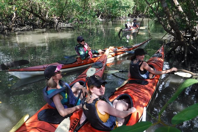 Mangrove, Beaches and Islands by Kayak tour - Mangrove Finish and Red Crabs: When the Tide Makes or Breaks It