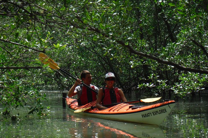 Mangrove, Beaches and Islands by Kayak tour - Stop by Stop in Paraty: Pontal Beach, Rosa Beach, and Malvao Island