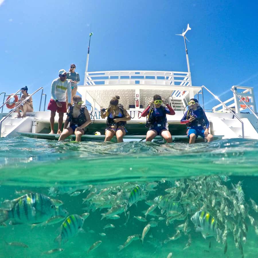 Maracajau Parrachos Reef: Mask and Snorkel swim adventure - Key points worth knowing