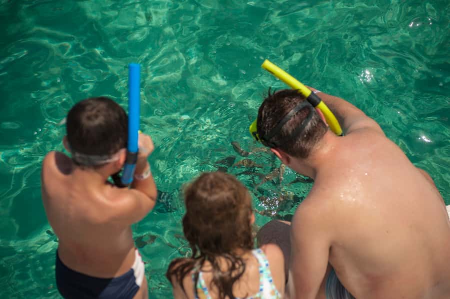 Maracajau Parrachos Reef: Mask and Snorkel swim adventure - A quick note on reliability, based on real booking experiences