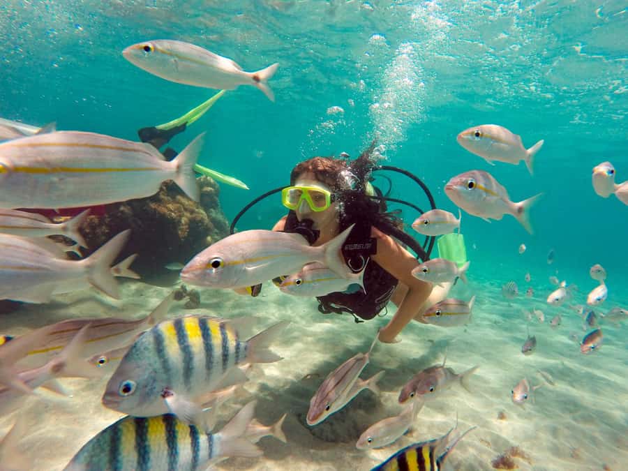 Maracajau Parrachos Reef: Mask and Snorkel swim adventure - The boat ride to the natural pools, what “1.5 hours” really means