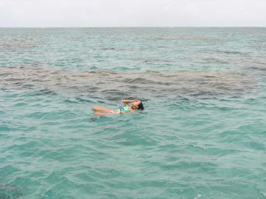 Maracajau Parrachos Reef: Mask and Snorkel swim adventure - Floating platforms and the snorkeling experience in the Parrachos Reef