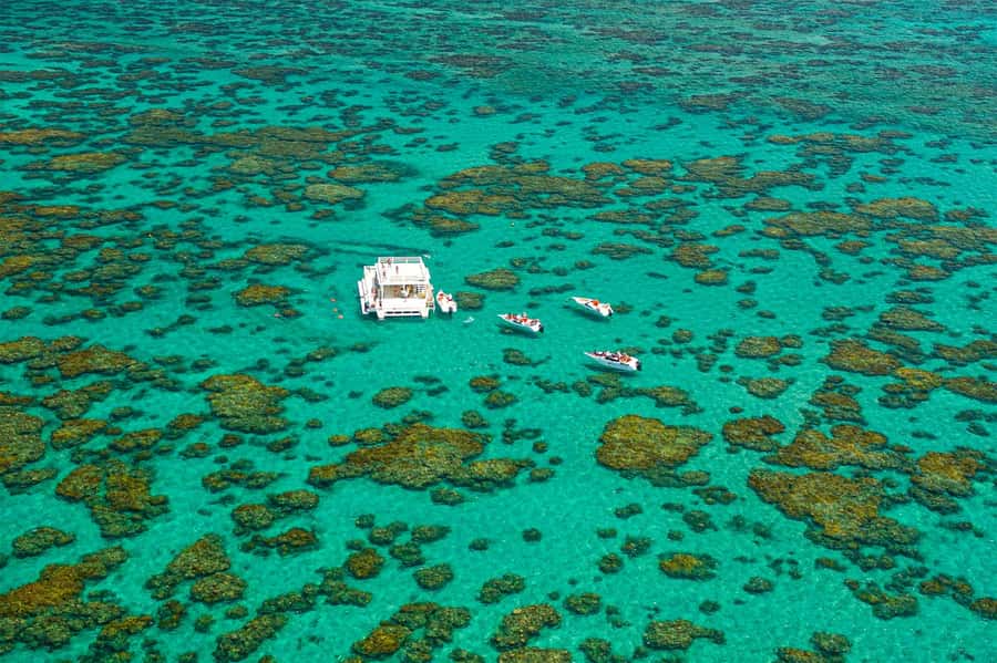 Maracajau Parrachos Reef: Mask and Snorkel swim adventure - Optional buggy and quadricycle rides, plus the baptism dive add-on