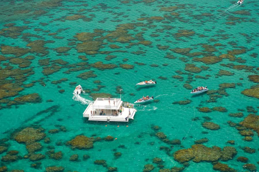 Maracajau Parrachos Reef: Mask and Snorkel swim adventure - Who should book this, and who should skip it