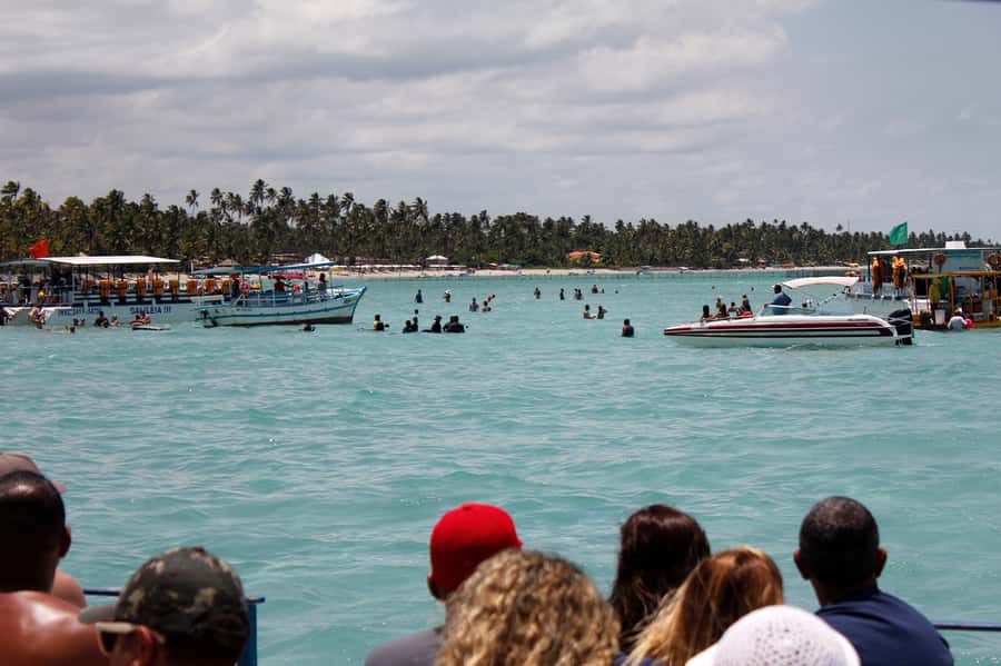 Maragogi Beach and Gales Reef Full-Day Tour from Maceio - Who Should Book This Tour, And Who Might Be Frustrated